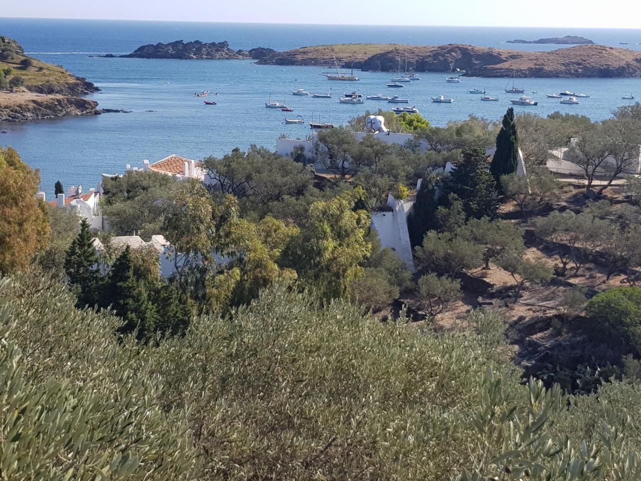 Hotel La Residencia Cadaqués Dış mekan fotoğraf